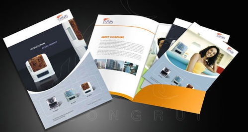 无锡龙瑞广告设计公司 一站式印刷与软件开发服务